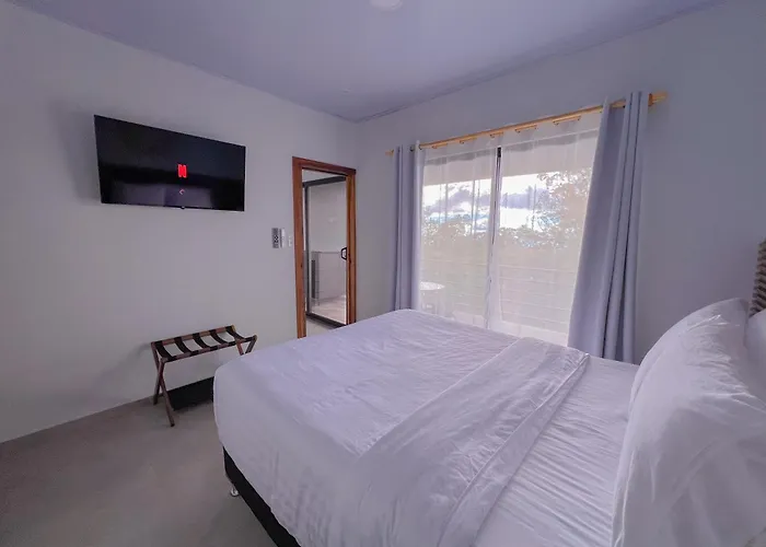 Monstera Apartments Monteverde