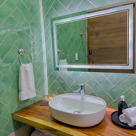 Monstera Apartments Monteverde Exterior photo